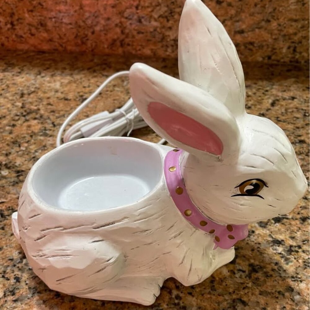 Scentsy Wax Warmer